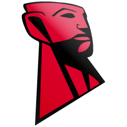 256x256 Kingston Icon
