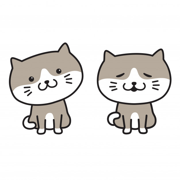 626x626 Cat Vector Kitten Icon Logo Smile Pet Cartoon Vector Premium