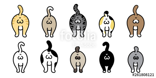 500x250 Cat Vector Kitten Icon Breed Butt Logo Calico Bottom Ass Cartoon