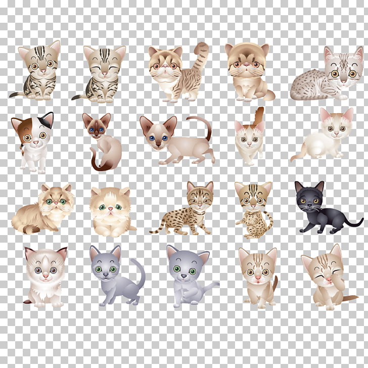 728x728 Cat Kitten Icon, Kitten, Assorted Color Cat Illustrations Png
