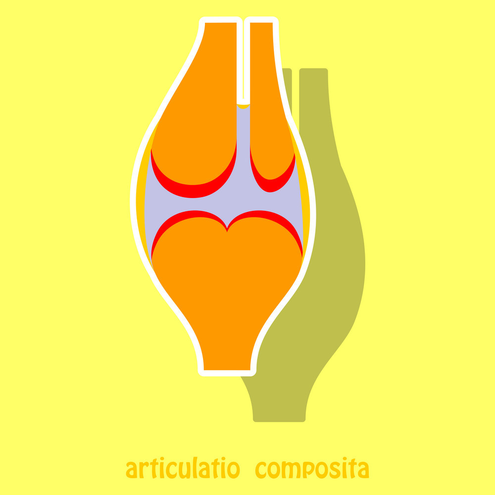 1000x1000 Knee Joint Health Care Icon Sticker Vector Free