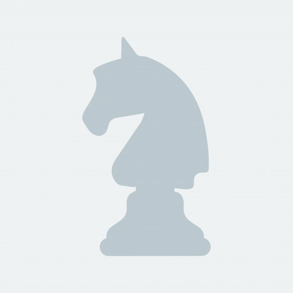 970x970 Get Free Stock Photos Of The Knight Chess Piece Vector Icon Online