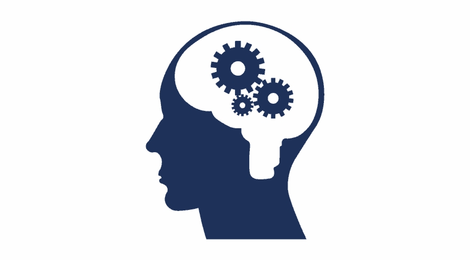 920x509 Incorporates Domain Knowledge Through Trained Models