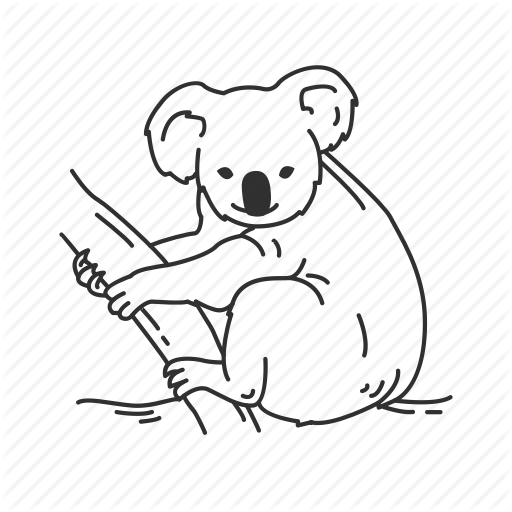 512x512 Bear, Koala, Mammal, Small Land Mammal Icon