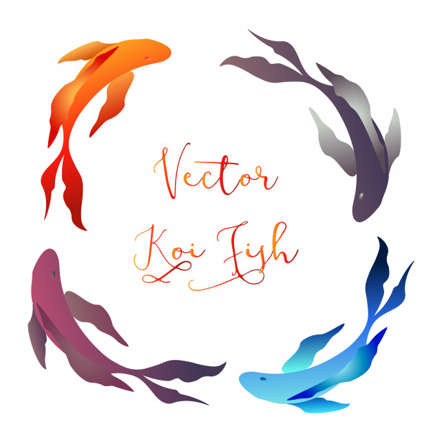 Koi Fish Icon Frame Vector Premium Download 626x635 Koi Fish Icon Frame Vector Premium Download