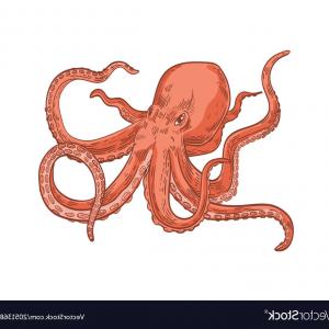 300x300 Kraken Icon Isolated White Background Gray Frame Sign Symbol