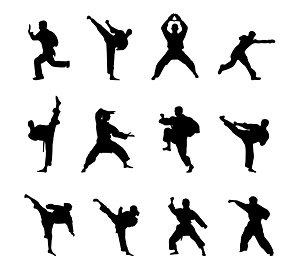 300x275 Free Kung Fu Martial Arts Icon Material Silhouette Figures