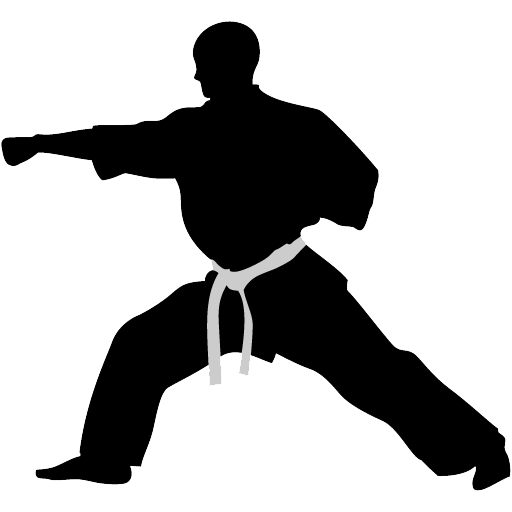 512x512 Karate Punch Icon