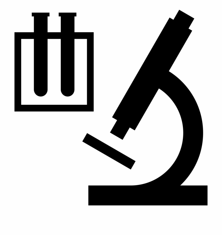 I Laboratory Comments 920x971 I Laboratory Comments