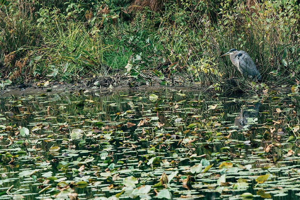 1000x667 Lacie, Porsche Design Launch Usb Thumb Drive News Opinion