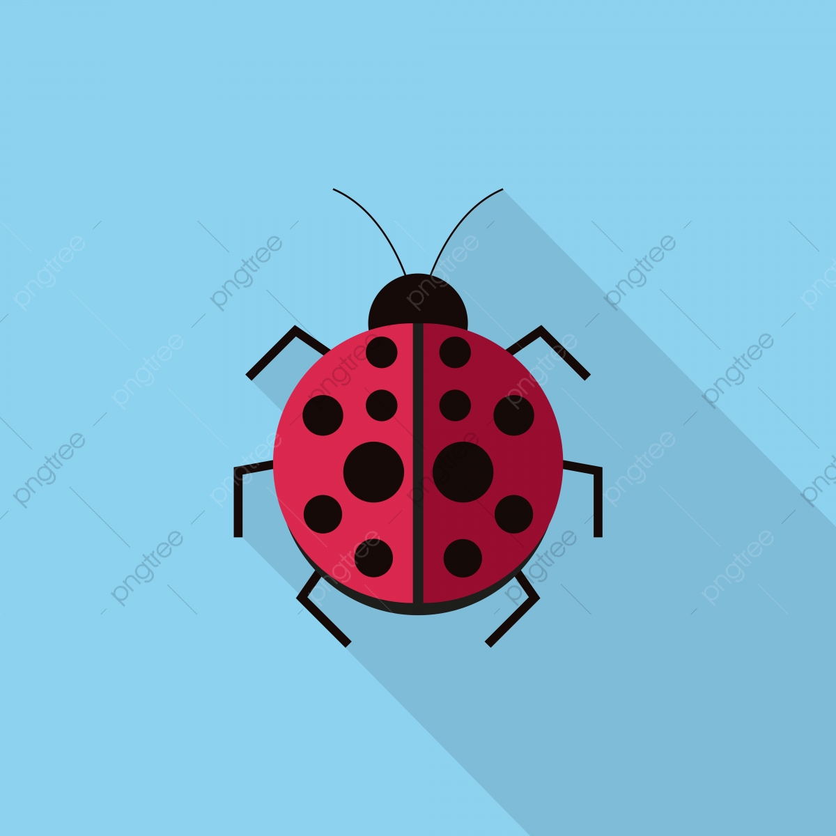 1200x1200 Ladybug Icon, Ladybug, Illustration, Cute Png And Vector