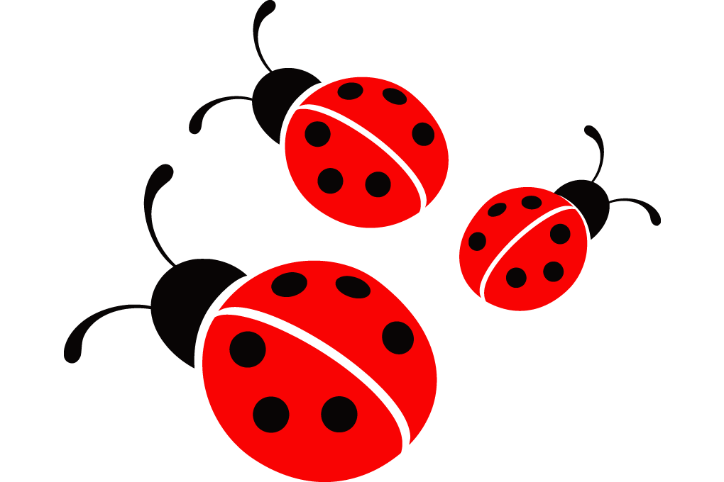1020x680 Ladybug Icon