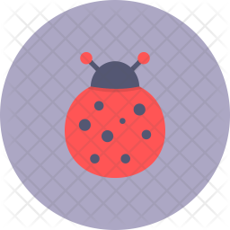 256x256 Ladybug Icon Of Flat Style