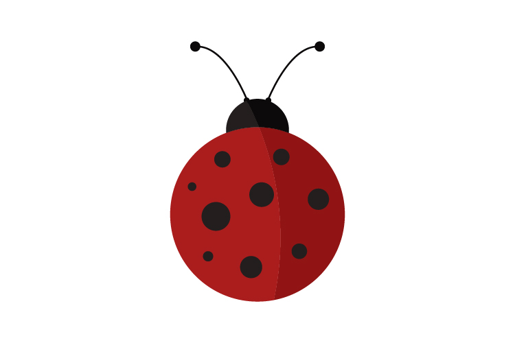 750x500 Ladybug Icon