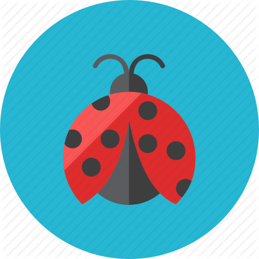 512x512 Ladybug Icon
