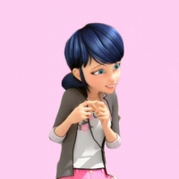 200x200 Marinette Icon
