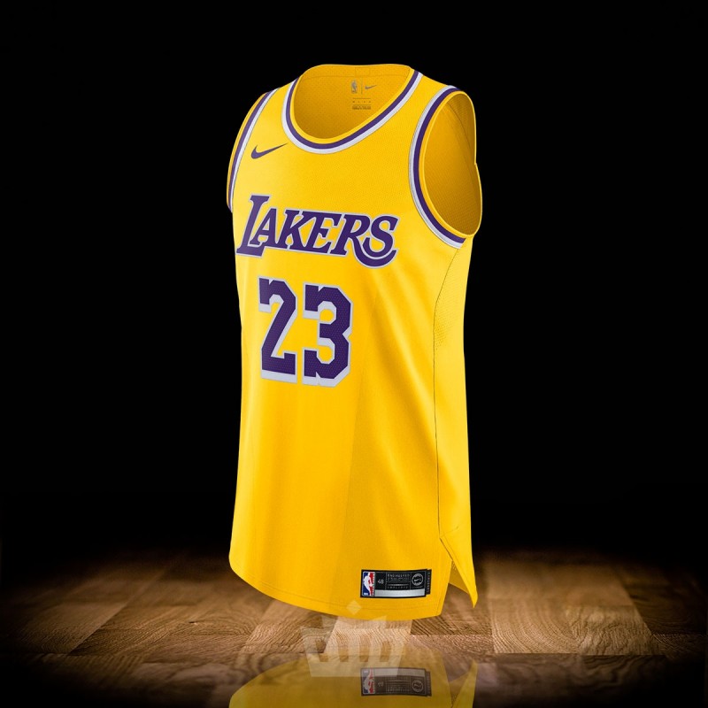 800x800 Nike Nba Los Angeles Lakers Icon Authentic Jersey Lebron James