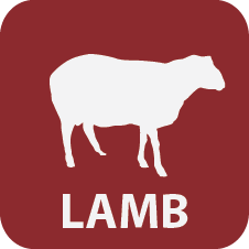 226x226 Lamb University Of Maryland Extension