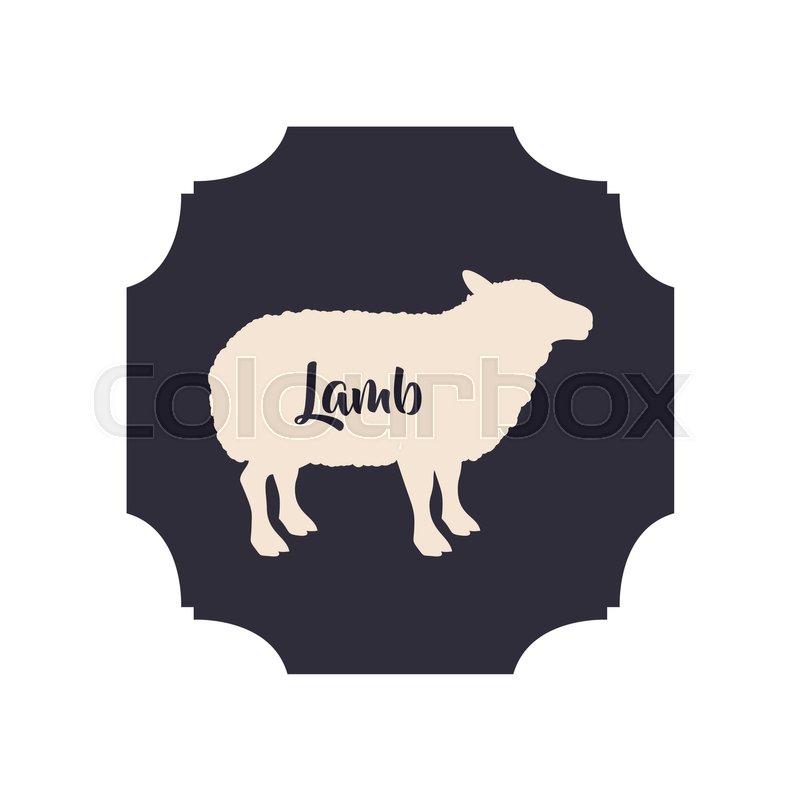 800x800 Lamb Icon Livestock Animal Life Stock Vector Colourbox