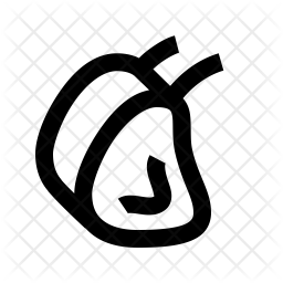 256x256 Rack Of Lamb Icon Of Line Style