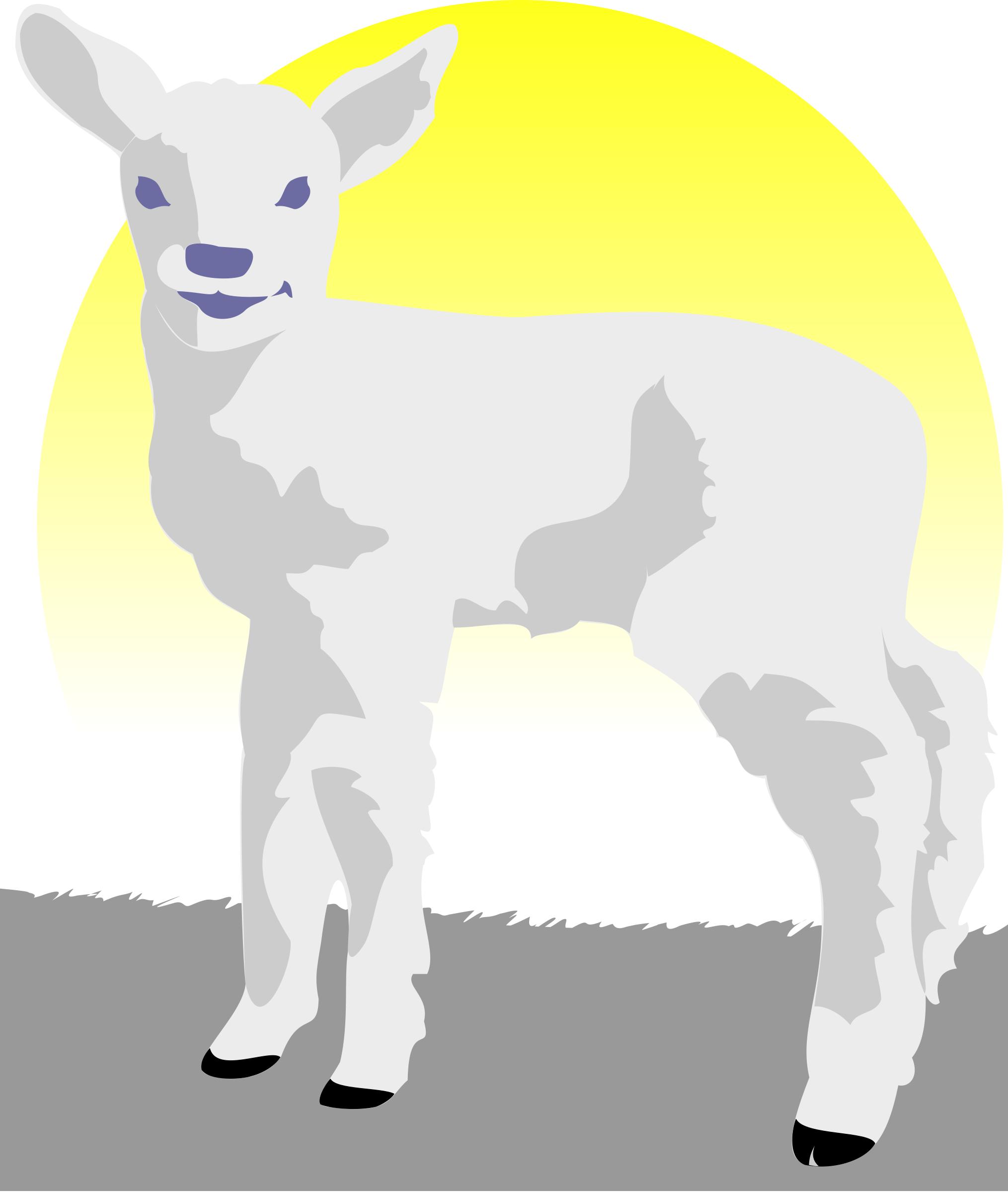 2029x2400 Lamb Icons Png