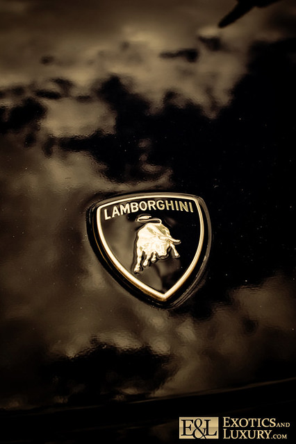 Lamborghini Icon at Vectorified.com | Collection of ...