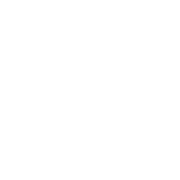 256x256 White Airplane Landing Icon