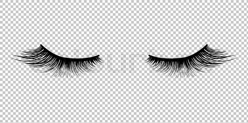 800x399 Eyelashes Icon Isolated Transparent Stock Vector Colourbox