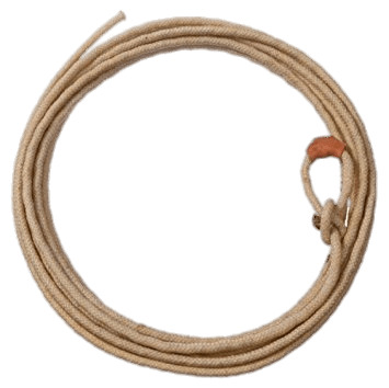 355x354 Lasso Rolled Up Icons Png