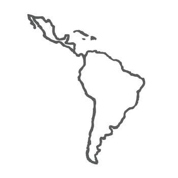 350x350 Ysi Working Group Latin America