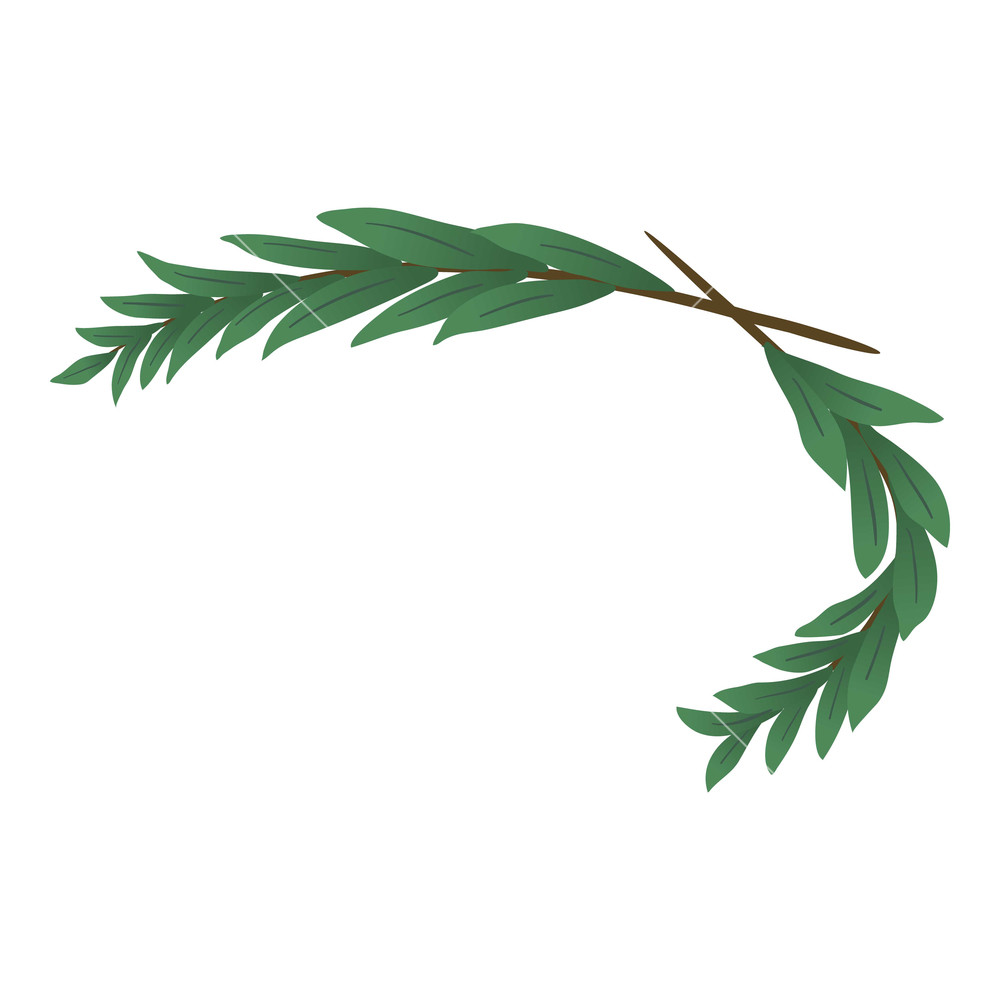 1000x1000 Laurel Wreath Icon Isometric Illustration Of Laurel Wreath Vector