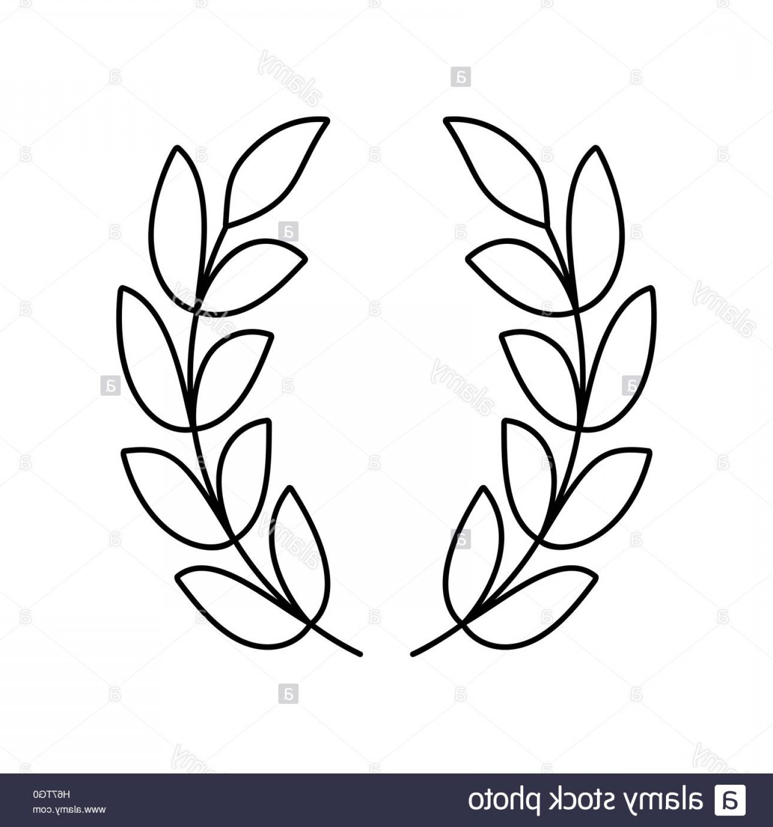 1560x1668 Stock Photo Laurel Wreath Line Icon Soidergi