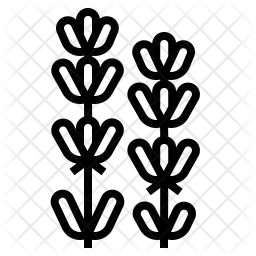 256x256 Lavender Flower Icon Of Line Style