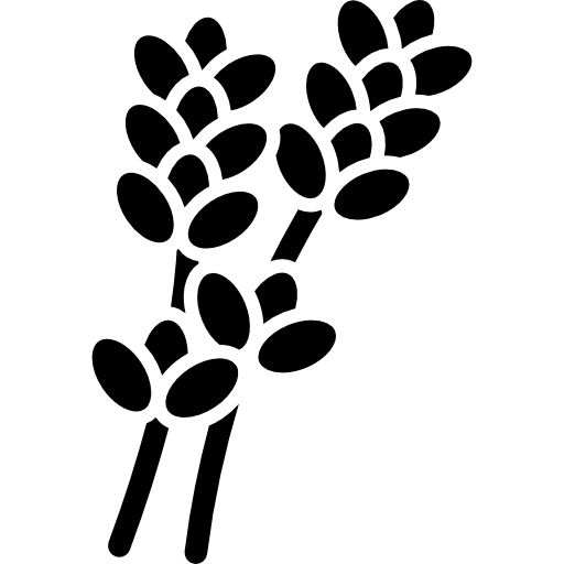 512x512 Lavender Icons Free Download