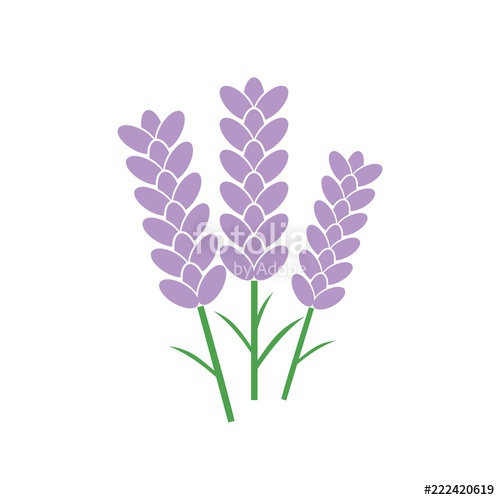 Lavender Icon at Vectorified.com | Collection of Lavender Icon free for ...