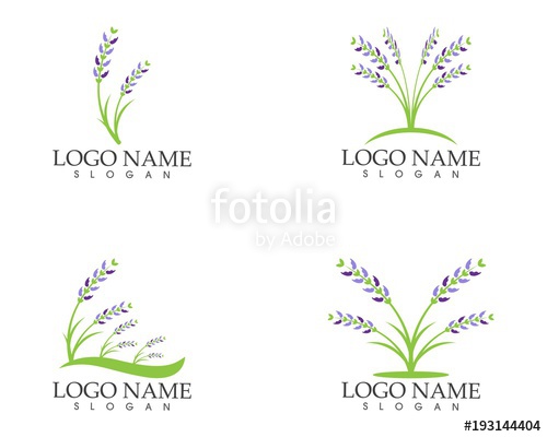 500x400 Lavender Flower Icon Sign Logo Stock Image And Royalty Free