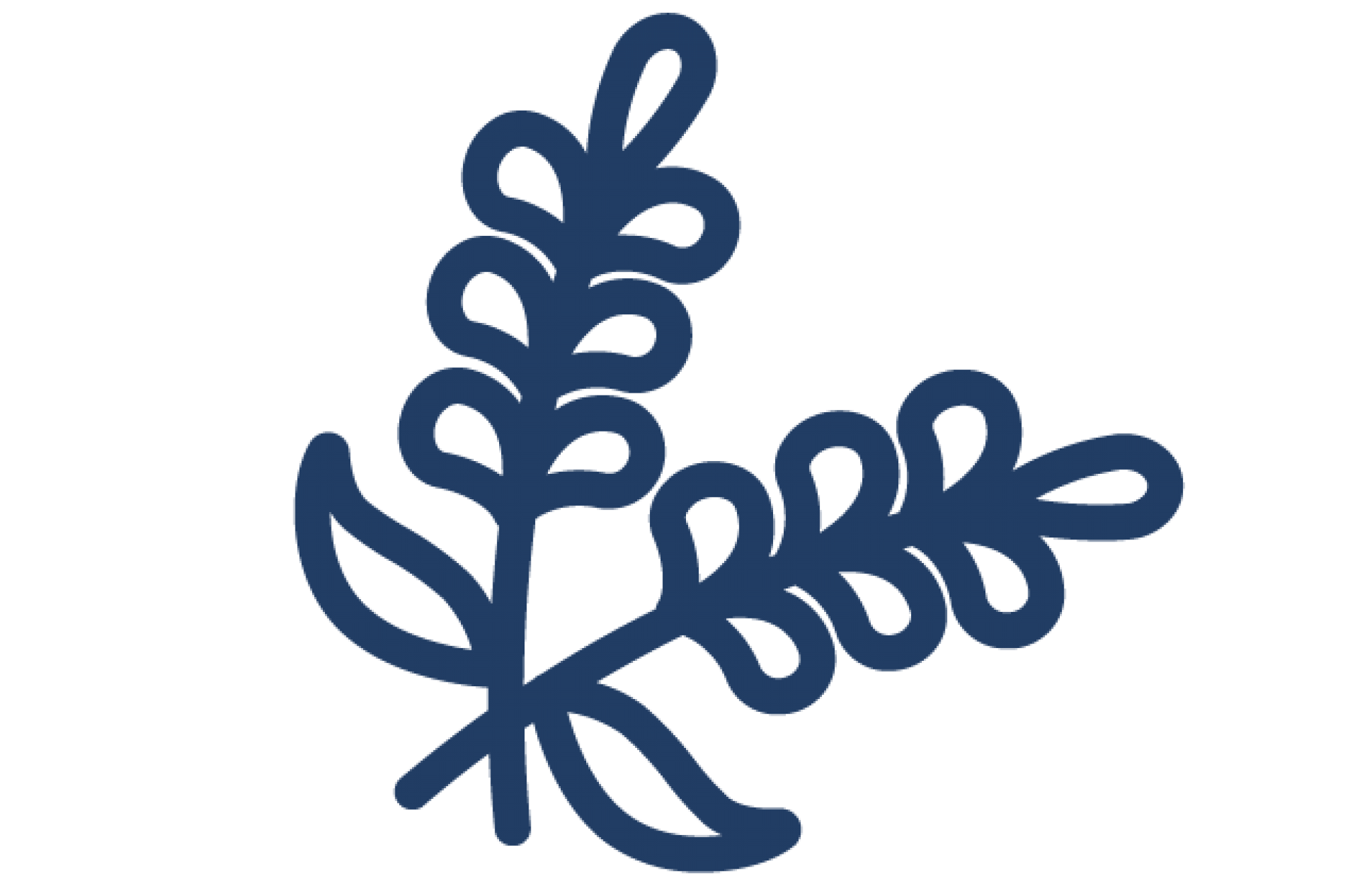 2048x1322 Summit Ali'i Kula Lavender Tour