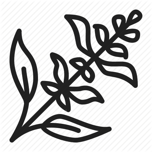 512x512 Herb, Lavender, Plant Icon