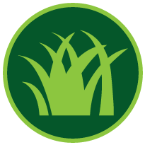 205x205 Green T Services Window Replacement, Garage Doors, Patios Decks