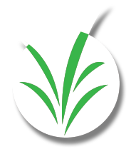 184x216 Lawn Care Services In Pennsylvania Delaware Valley Turf