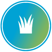 180x180 Organic Lawn Care Services Natural Lawncare Organic Fertilizer