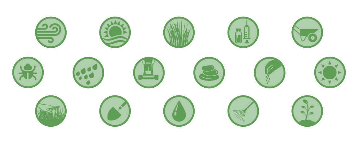 1155x481 Solving The Lawn Care Puzzle