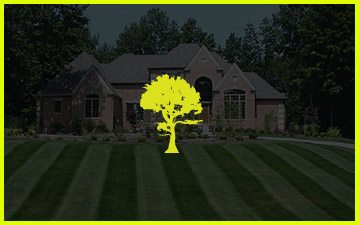 359x225 Lawn Icon