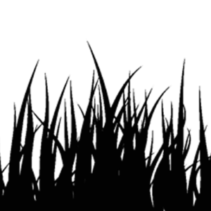 300x300 Lawn Icon Png