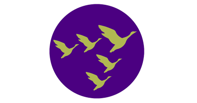 404x212 Leadership Icon Green And Purple