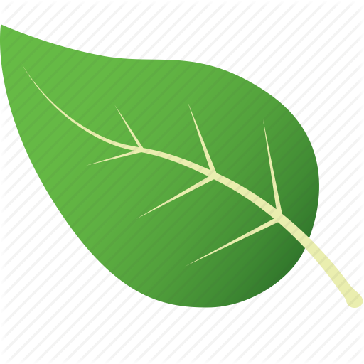 512x512 Green, Leaf, Leaves, Nature, Tree, Tropical Icon