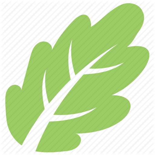 512x512 Green Leaf, Leaf, Leaf Design, Leaf Shape, Oak Leaf Icon