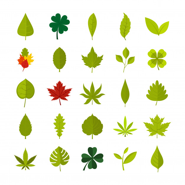626x626 Leaf Icon Set Flat Set Of Leaf Vector Icons Collection Isolated
