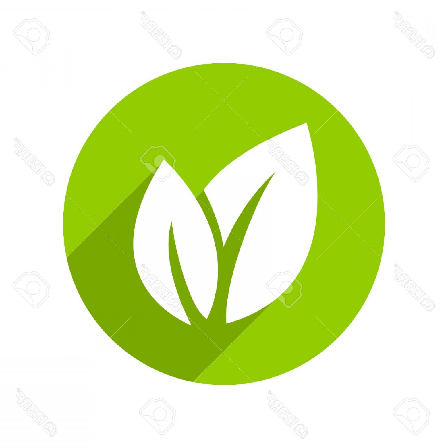 1560x1560 Photostock Vector Flat Leaves Icons Vector Illustration Leaf Icon