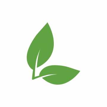360x360 Green Leaf Icon Png Images Vector And Free Download